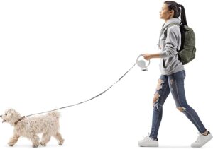 قلاده سگ Dog Leash همراه با چراغ قوه مدل S62 