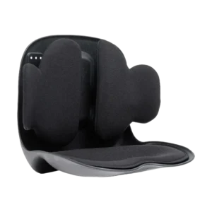 GNLUMPRBK Green Lion Lumbar Pro Adjustable Back Support Black