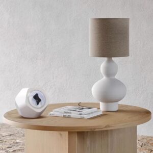 اسپيكر دكوراتيو با مایع فروفلویید The Wireless Magnetic Speaker with Ferrofluid